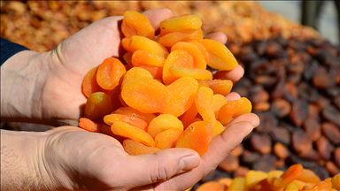 Kuru kayısıdan ilk dört ayda 84 milyon dolarlık ihracat