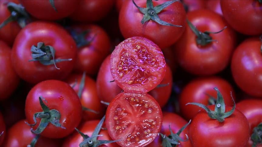 عصير الطماطم يقي من خطر الإصابة بأمراض القلب
