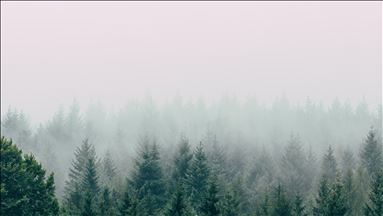 Movement for climate justice growing daily: NGO