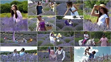 'Isparta lavanta kokuyor' 