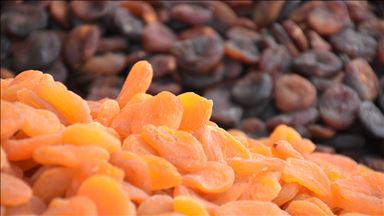 'Türkiye, kuru kayısı üretimi ve ihracatında lider'