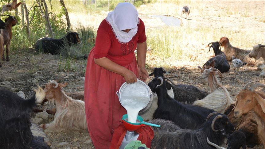 "Em li gundê xwe bextewar in, me aramî li vê derê dît"