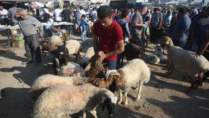 ركود في سوق الأضاحي بالضفة بسبب أزمة "المقاصة"