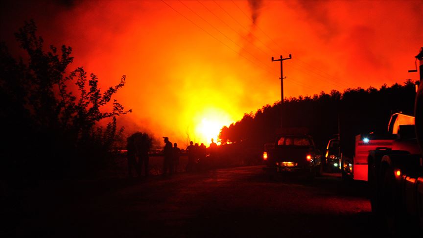 Antalya'da orman yangını