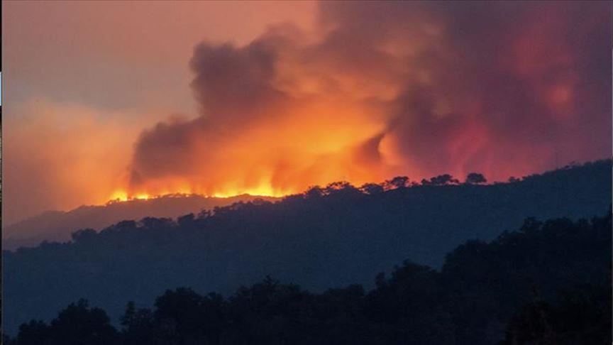 من الحر القاتل إلى الأعاصير المدمرة.. العالم يشهد أسوأ سيناريو (مقابلة)