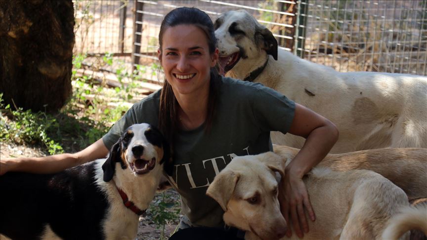 Turkey: Dutch woman enjoys caring for stray animals