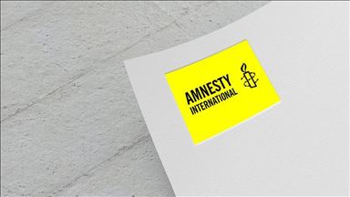 Amnesty International призвала к бдительности путешествующих в США 