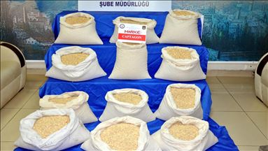 Во Турција запленети над 1,4 милион таблети екстази