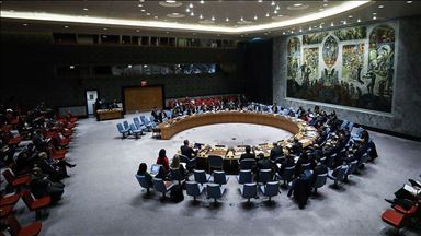 США и РФ отказались осудить в СБ ООН Турцию