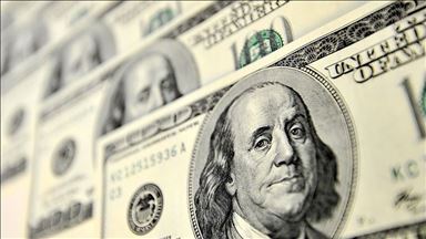 AA Finans Ödemeler Dengesi Beklenti Anketi sonuçlandı 