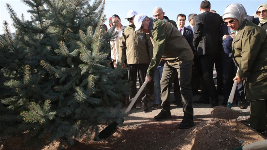 أردوغان يشارك في حملة زرع 11 مليون شتلة