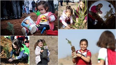 Over 13M saplings planted in Turkey’s eco-friendly move