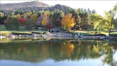جلوه زیبای پاییز در «بوستان ژاپنی» ترکیه