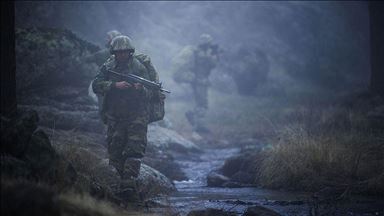 Turquie: 5 terroristes du YPG/PKK se rendent aux forces de l'ordre 