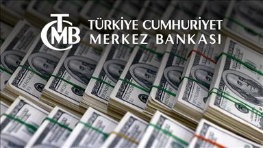 Merkez Bankası rezervleri 105 milyar 869 milyon dolar oldu