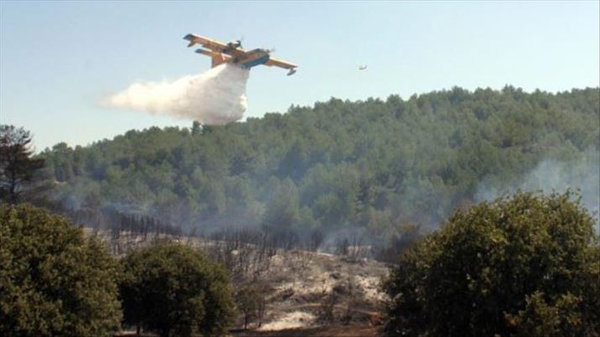 ارتفاع ضحايا حرائق الغابات في أستراليا إلى 15