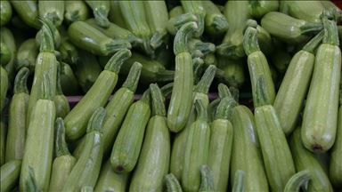 Şubatta fiyatı en fazla artan ürün kabak, en çok düşen erkek kazağı