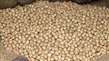 Nohut ihracatı 8 yıl sonra ithalatı geçti