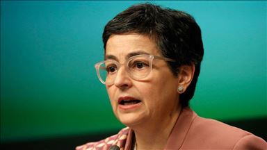 Spain thanks Turkey for authorizing ventilators