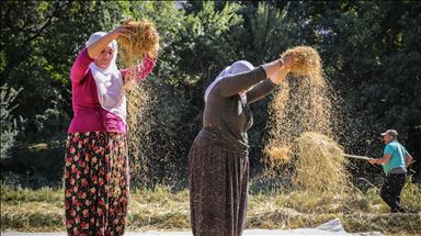 Serap hasil panen petani, pemerintah tetapkan harga pembelian