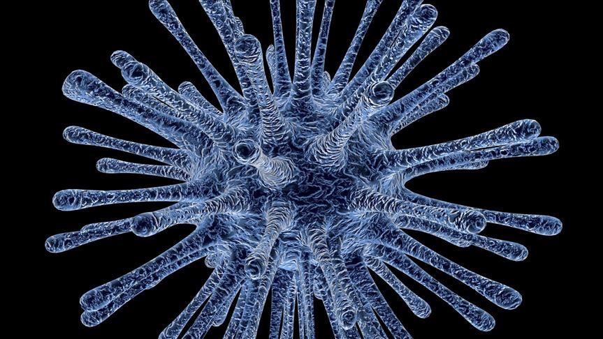 Finding December virus case in France 'not surprising'