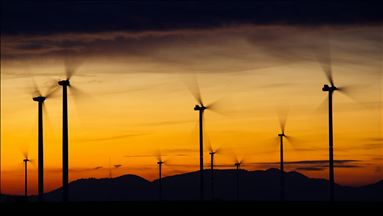 Global renewables use 1.5% higher than last year: IEA