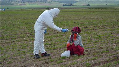 Sağlık Bakanlığından mevsimlik tarım işçilerine yönelik Kovid-19 tedbirleri 