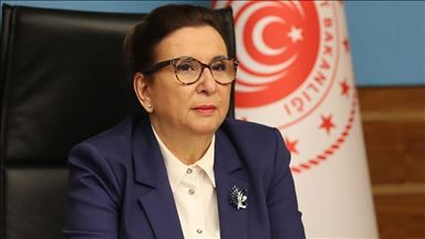 پکجان: ورود تریلی‌ها از گذرگاه مرزی گوربلاق به ترکیه آغاز شد