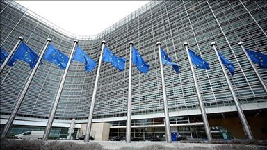 EU calls for independent probe of virus' origins