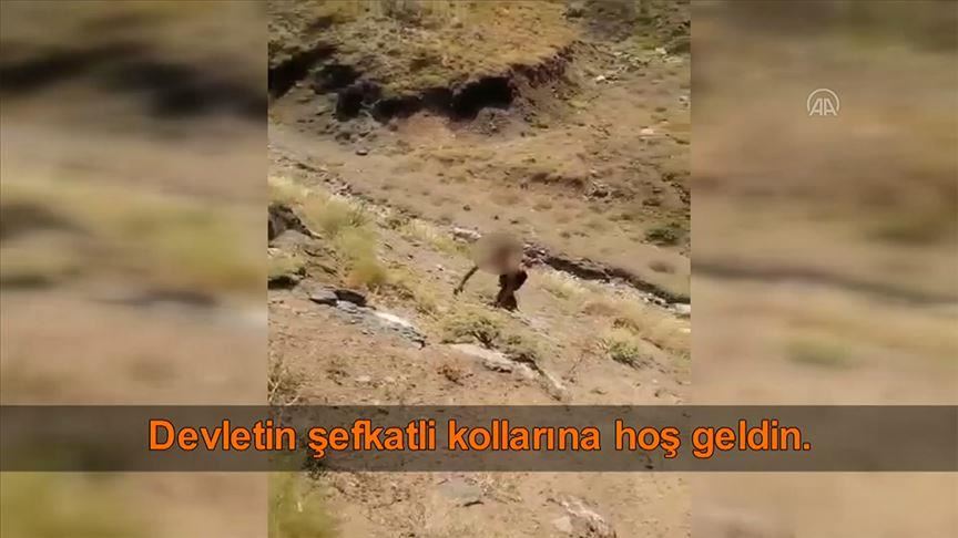 Turkey: PKK terrorist surrenders to security forces