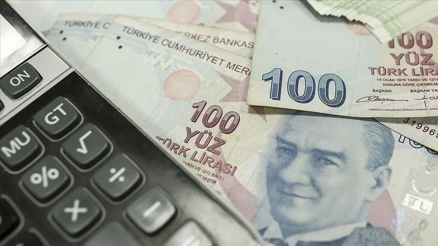 Turkish Treasury borrows $902M from domestic markets