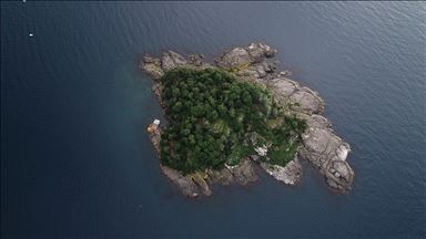 "جزيرة غيرسون".. "جنة البحر الأسود" بكامل جاهزيتها للموسم السياحي 