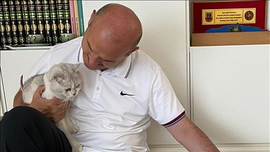 Bakan Soylu'dan Dünya Kediler Günü paylaşımı