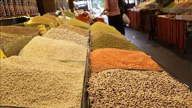 Турецкий экспорт зернобобовых и масличных превысил $4,6 млрд