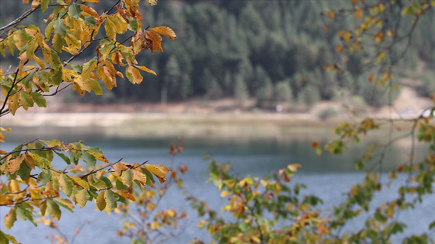 حديقة "أبانت" التركية.. سحر الطبيعة بألوان الخريف 