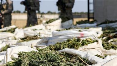 Turkey: Over 221 pounds of marijuana seized