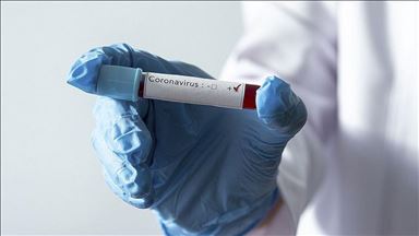 В Украине за сутки коронавирусом заразились более 5700 человек