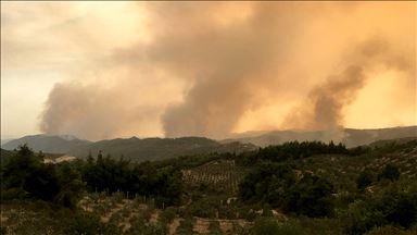 Suriye'deki orman yangınları sürüyor
