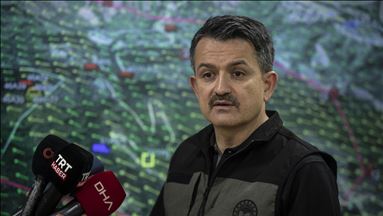 Tarım ve Orman Bakanı Pakdemirli'den Hatay'daki orman yangınına yönelik açıklama