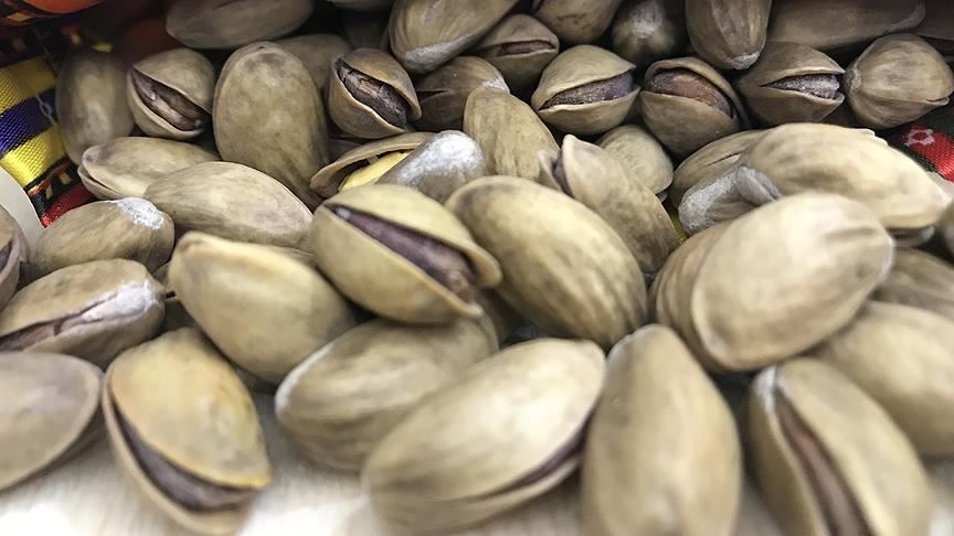 Antep fıstığı 94 ülkeye ihraç edildi
