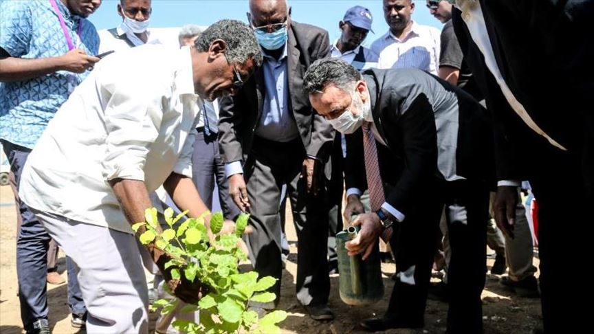 السودان.. السفارة التركية تزرع ألف شجرة بالخرطوم