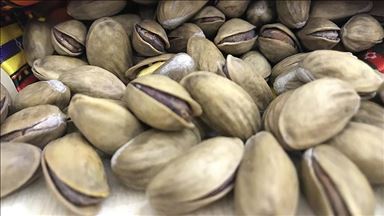 Antep fıstığı 94 ülkeye ihraç edildi