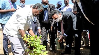 السودان.. السفارة التركية تزرع ألف شجرة بالخرطوم