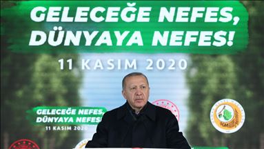اردوغان: ترکیه در زمینه درختکاری جایگاه نخست در اروپا را دارد