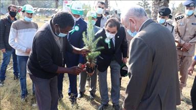في حملة عالمية.. السفارة التركية تغرس ألف شتلة في طرابلس
