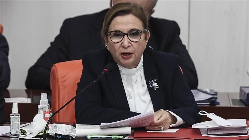 پکجان: ترکیه جایگاه خود به‌عنوان یکی از پویاترین اقتصادهای جهان را حفظ خواهد کرد