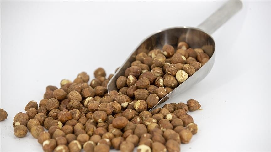 عائدات تركيا من صادرات البندق تقارب مليار دولار