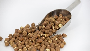 عائدات تركيا من صادرات البندق تقارب مليار دولار