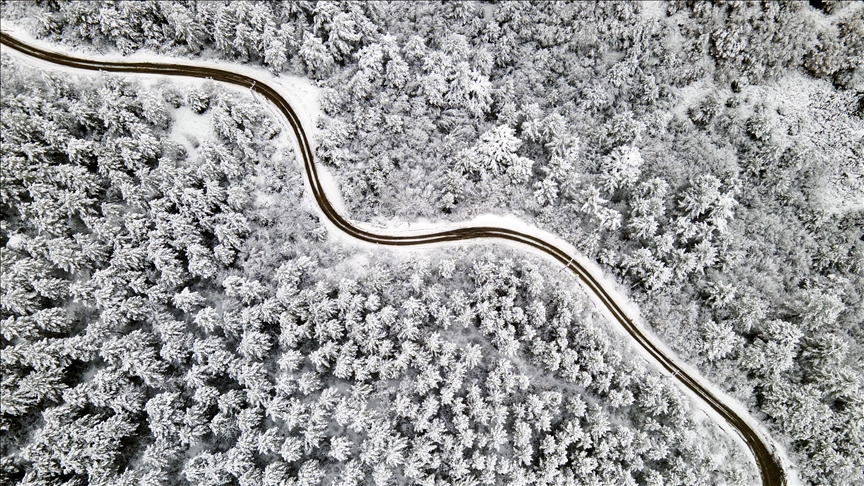 جنگل‌های کارابوک؛ انبار اکسیژن ترکیه