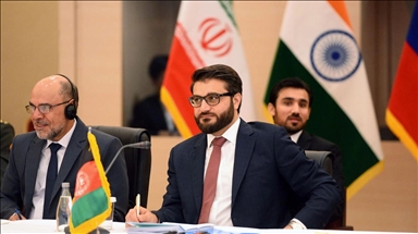 Афганистан продолжает консультации по Стамбульской конференции